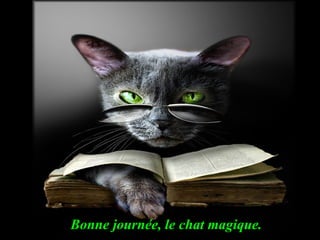 Bonne journée, le chat magique.

 