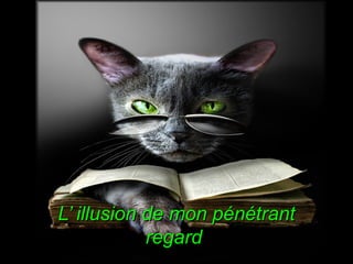 L’ illusion de mon pénétrant
regard

 