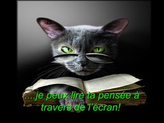 ....je peux lire ta pensée à
travers de l’écran!

 