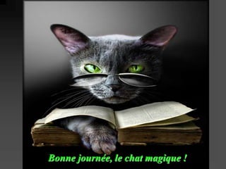 Bonne journée, le chat magique ! 
