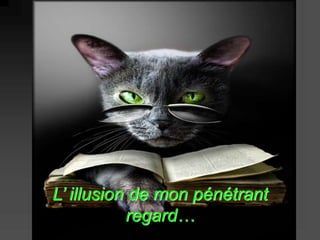 L’ illusion de mon pénétrant 
regard… 
 