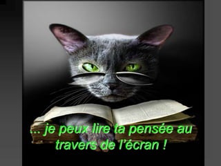... je peux lire ta pensée au 
travers de l’écran ! 
 