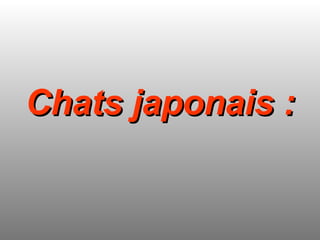Chats japonais : 