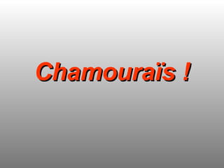 Chamouraïs ! 