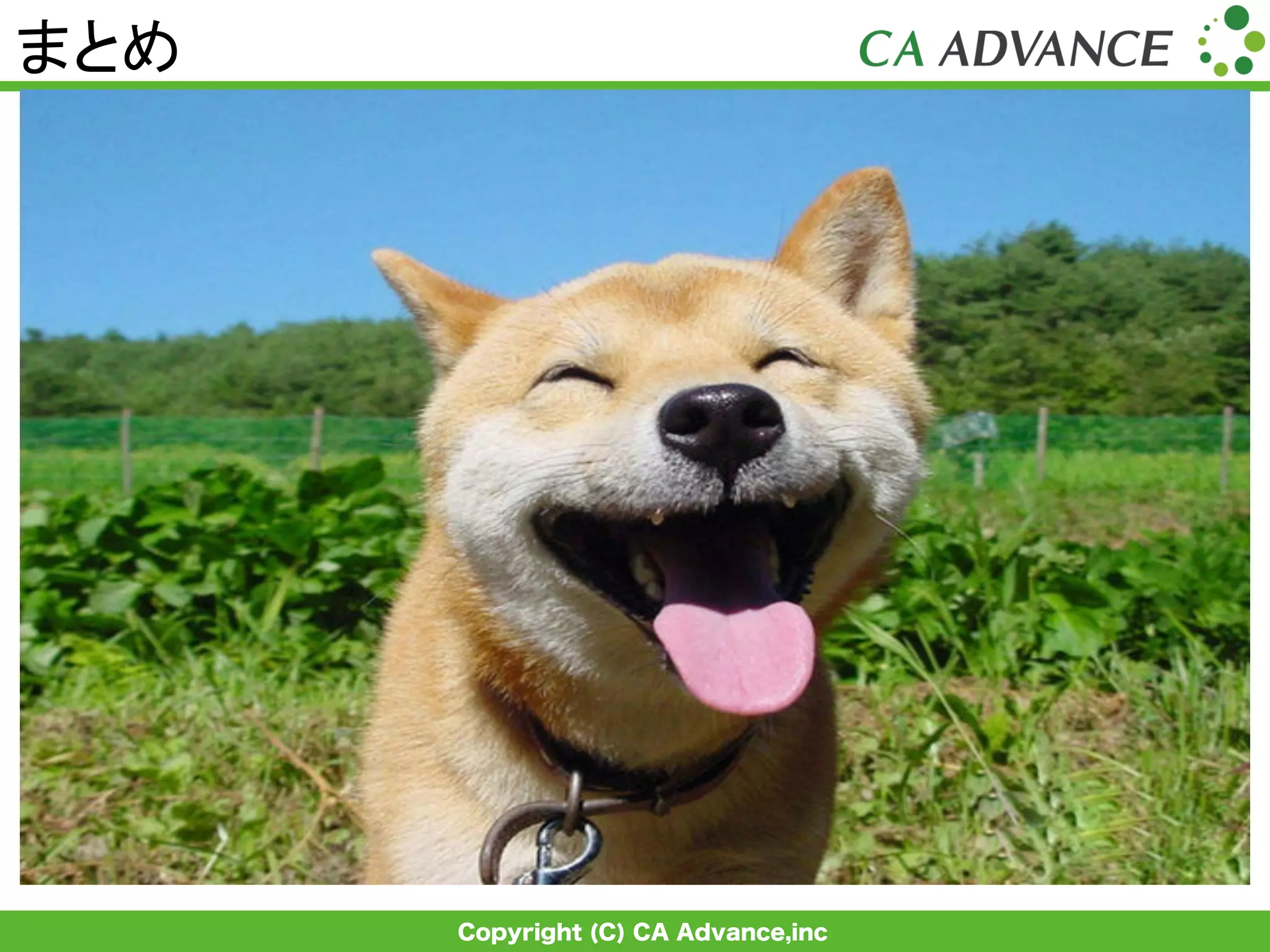 Copyright (C) CA Advance,inc
まとめ	
 