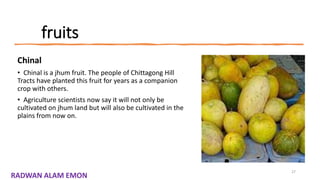 fruits
Chinal
• Chinal is a jhum fruit. The people of Chittagong Hill
Tracts have planted this fruit for years as a companion
crop with others.
• Agriculture scientists now say it will not only be
cultivated on jhum land but will also be cultivated in the
plains from now on.
27
RADWAN ALAM EMON
 