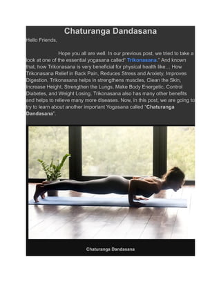 ASANA: tips and advice for your Chaturanga — Tes Cours de Yoga en