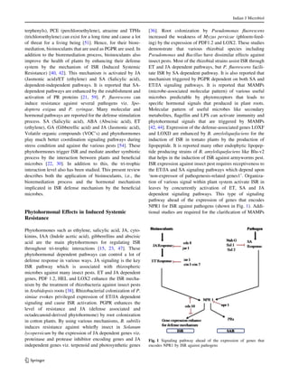terphenyls), PCE (perchloroethylene), atrazine and TPHs
(trichloroethylene) can exist for a long time and cause a lot
of threat for a living being [51]. Hence, for their biore-
mediation, bioinoculants that are used as PGPR are used. In
addition to the bioremediation process, bioinoculants also
improve the health of plants by enhancing their defense
system by the mechanism of ISR (Induced Systemic
Resistance) [40, 42]. This mechanism is activated by JA
(Jasmonic acid)/ET (ethylene) and SA (Salicylic acid),
dependent-independent pathways. It is reported that SA-
dependent pathways are enhanced by the establishment and
activation of PR proteins [21, 59]. P. fluorescens can
induce resistance against several pathogens viz. Spo-
doptera exigua and P. syringae. Many molecular and
hormonal pathways are reported for the defense stimulation
process. SA (Salicylic acid), ABA (Abscisic acid), ET
(ethylene), GA (Gibberellic acid) and JA (Jasmonic acid),
Volatile organic compounds (VOC’s) and phytohormones
play much better coordination signaling pathways during
stress condition and against the various pests [54]. These
phytohormones trigger ISR and mediate another symbiotic
process by the interaction between plants and beneficial
microbes [22, 30]. In addition to this, the tri-trophic
interaction level also has been studied. This present review
describes both the application of bioinoculants, i.e., the
bioremediation process and the hormonal mechanism
implicated in ISR defense mechanism by the beneficial
microbes.
Phytohormonal Effects in Induced Systemic
Resistance
Phytohormones such as ethylene, salicylic acid, JA, cyto-
kinins, IAA (Indole acetic acid), gibberellins and abscisic
acid are the main phytohormones for regulating ISR
throughout tri-trophic interactions [15, 23, 47]. These
phytohormonal dependent pathways can control a lot of
defense response in various ways. JA signaling is the key
ISR pathway which is associated with rhizospheric
microbes against many insect pests. ET and JA dependent
genes, PDF 1.2, HEL and LOX2 enhance the ISR mecha-
nism by the treatment of rhizobacteria against insect pests
in Arabidopsis roots [38]. Rhizobacterial colonization of P.
simiae evokes privileged expression of ET/JA dependent
signaling and cause ISR activation. PGPR enhances the
level of resistance and JA (defense associated and
octadecanoid-derived phytohormone) by root colonization
in cotton plants. By using various mechanisms, B. subtilis
induces resistance against whitefly insect in Solanum
lycopersicum by the expression of JA dependent genes viz.
proteinase and protease inhibitor encoding genes and JA
independent genes viz. terpenoid and photosynthetic genes
[36]. Root colonization by Pseudomonas fluorescens
increased the weakness of Myzus persicae (phloem-feed-
ing) by the expression of PDF1.2 and LOX2. These studies
demonstrate that various rhizobial species including
Pseudomonas and Bacillus have dissimilar effects against
insect pests. Most of the rhizobial strains assist ISR through
ET and JA dependent pathways, but P. fluorescens facili-
tate ISR by SA dependent pathway. It is also reported that
mechanism triggered by PGPR dependent on both SA and
ET/JA signaling pathways. It is reported that MAMPs
(microbe-associated molecular pattern) of various useful
microbes predictable by phytoreceptors that leads to
specific hormonal signals that produced in plant roots.
Molecular pattern of useful microbes like secondary
metabolites, flagellin and LPS can activate immunity and
phytohormonal signals that are triggered by MAMPs
[42, 44]. Expression of the defense-associated genes LOXF
and LOXD are enhanced by B. amyloliquefaciens for the
induction of ISR in tomato plants by the production of
lipopeptide. It is reported many other endophytic lipopep-
tide producing strains of B. amyloliquefaciens like Blu-v2
that helps in the induction of ISR against armyworms pest.
ISR expression against insect pest requires receptiveness to
the ET/JA and SA signaling pathways which depend upon
‘non-expressor of pathogenesis-related genes1’. Organiza-
tion of various signal within plant system activate ISR in
leaves by concurrently activation of ET, SA and JA
dependent signaling pathways. This type of signaling
pathway ahead of the expression of genes that encodes
NPR1 for ISR against pathogens (shown in Fig. 1). Addi-
tional studies are required for the clarification of MAMPs
Fig. 1 Signaling pathway ahead of the expression of genes that
encodes NPR1 by ISR against pathogens
Indian J Microbiol
123
 
