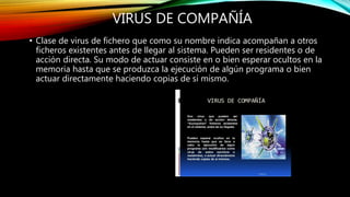 VIRUS DE COMPAÑÍA
• Clase de virus de fichero que como su nombre indica acompañan a otros
ficheros existentes antes de llegar al sistema. Pueden ser residentes o de
acción directa. Su modo de actuar consiste en o bien esperar ocultos en la
memoria hasta que se produzca la ejecución de algún programa o bien
actuar directamente haciendo copias de sí mismo.
 