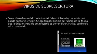 VIRUS DE SOBREESCRITURA
• Se escriben dentro del contenido del fichero infectado, haciendo que
pueda quedar inservible. Se ocultan por encima del fichero de tal forma
que la única manera de desinfectarlo es borrar dicho archivo, perdiendo
así su contenido.
 