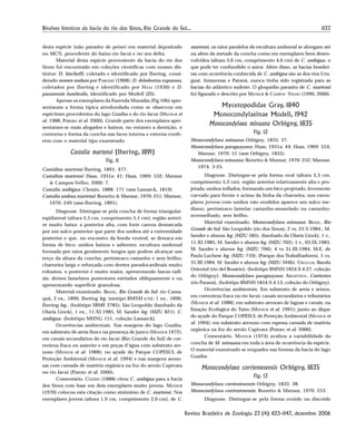 1133Bivalves límnicos da bacia do rio dos Sinos, Rio Grande do Sul...
Revista Brasileira de Zoologia 23 (4): 1123–1147, dezembro 2006
desta espécie (não parasito de peixe) em material depositado
no MCN, procedente do baixo rio Jacuí e no seu delta.
Material desta espécie proveniente da bacia do rio dos
Sinos foi encontrado em coleções científicas com nomes dis-
tintos: D. bischoffi, coletado e identificado por Ihering, consi-
derado nomen nudum por PARODIZ (1968); D. delodontus expansus,
coletados por Ihering e identificado por HAAS (1930) e D.
paranensis funebralis, identificado por Modell (ZS).
Apenas os exemplares da Fazenda Muradás (Fig 10b) apre-
sentaram a forma típica arredondada como se observou em
espécimes procedentes do lago Guaíba e do rio Jacuí (MANSUR et
al. 1988, PEREIRA et al. 2000). Grande parte dos exemplares apre-
sentaram-se mais alogados e baixos, no entanto a dentição, o
contorno e forma da concha nas faces interna e externa confe-
rem com o material tipo examinado.
Castalia martensi (Ihering, 1891)
Fig. 11
Castalina martensi Ihering, 1891: 477.
Castalina martensi: Haas, 1931a: 41; Haas, 1969: 532; Mansur
& Campos-Velho, 2000: 7.
Castalia ambigua: Clessin, 1888: 171 (non Lamarck, 1819).
Castalia undosa martensi: Bonetto & Mansur, 1970: 251; Mansur,
1970: 249 (non Ihering, 1891).
Diagnose. Distingue-se pela concha de forma triangular-
eqüilateral (altura 5,5 cm, comprimento 5,1 cm); região anteri-
or muito baixa; a posterior alta, com forte carena demarcada
por um sulco posterior que parte dos umbos até a extremidade
posterior e que, no encontro da borda ventral, se destaca em
forma de bico; umbos baixos e salientes; escultura umbonal
formada por raios geralmente longos que podem alcançar um
terço da altura da concha; perióstraco castanho e sem brilho;
charneira larga e reforçada com dentes pseudocardinais muito
robustos, o posterior é muito maior, apresentando lascas radi-
ais; dentes lamelares posteriores estriados obliquamente e ou
apresentando superfície granulosa.
Material examinado. BRASIL, Rio Grande do Sul: rio Cama-
quã, 2 ex., 1890, Ihering leg. (síntipo BMNH s/n); 1 ex., 1890,
Ihering leg., (holótipo SBMF 3785); São Leopoldo (banhado da
Olaria Linck), 1 ex., 11.XI.1985, M. Sander leg. (MZU 821). C.
ambigua: (holótipo MHNG 151, coleção Lamarck).
Ocorrências ambientais. Nas margens do lago Guaíba,
em substrato de areia fina e na presença de junco (MANSUR 1972);
em canais secundários do rio Jacuí (Rio Grande do Sul) de cor-
renteza fraca ou ausente e em poças d’água com substrato are-
noso (MANSUR et al. 1988); no açude do Parque COPESUL de
Proteção Ambiental (MANSUR et al. 1994) e nas margens areno-
sas com camada de matéria orgânica na foz do arroio Capivara
no rio Jacuí (PEREIRA et al. 2000).
Comentário. CLESSIN (1888) citou C. ambigua para a bacia
dos Sinos com base em dois exemplares muito jovens. MANSUR
(1970) colocou esta citação como sinônimo de C. martensi. Nos
exemplares jovens (altura 1,9 cm, comprimento 2,0 cm), de C.
martensi, os raios paralelos da escultura umbonal se alongam até
ou além da metade da concha como em exemplares bem desen-
volvidos (altura 3,6 cm, comprimento 4,0 cm) de C. ambigua, o
que pode ter confundido o autor. Além disso, as bacias brasilei-
ras com ocorrência conhecida de C. ambigua são as dos rios Uru-
guai, Amazonas e Paraná, nunca tinha sido registrada para as
bacias do atlântico sudeste. O gloquídio parasito de C. martensi
foi figurado e descrito por MANSUR & CAMPOS -VELHO (1990, 2000).
Mycetopodidae Gray, 1840
Monocondylaeinae Modell, 1942
Monocondylaea minuana Orbigny, 1835
Fig. 12
Monocondylaea minuana Orbigny, 1835: 37.
Monocondylaea paraguayana: Haas, 1931a: 44; Haas, 1969: 554;
Mansur, 1970: 51 (non Orbigny, 1835).
Monocondylaea minuana: Bonetto & Mansur, 1970: 252; Mansur,
1974: 3-25.
Diagnose. Distingue-se pela forma oval (altura 3,3 cm,
comprimento 5,2 cm), região anterior relativamente alta e pro-
jetada; umbos inflados, formando um bico projetado, levemente
curvado para frente e acima da linha da charneira; nos exem-
plares jovens com umbos não erodidos aparece um sulco me-
diano; perióstraco lamelar castanho-amarelado ou castanho-
avermelhado, sem brilho.
Material examinado. Monocondylaea minuana: BRASIL, Rio
Grande do Sul: São Leopoldo (rio dos Sinos), 2 vs, 25.V.1984., M.
Sander e alunos leg. (MZU 585), (banhado da Olaria Linck), 1 v.,
11.XI.1985, M. Sander e alunos leg. (MZU 702); 1 v., 03.IX.1983,
M. Sander e alunos leg. (MZU 706); 4 vs 31.III.1984, M.E. de
Paula Luchese leg. (MZU 710); (Parque dos Trabalhadores), 5 vs,
31.III.1984, M. Sander e alunos leg. (MZU 594b). URUGUAI, Banda
Oriental (rio del Rosário), (holótipo BMNH 1854.9.4.27, coleção
do Orbigny); Monocondylaea paraguayana: ARGENTINA, Corrientes
(rio Paraná), (holótipo BMNH 1854.9.4.13, coleção do Orbigny).
Ocorrências ambientais. Em substrato de areia e seixos,
em correnteza fraca no rio Jacuí, canais secundários e tributários
(MANSUR et al. 1988); em substrato arenoso de lagoas e canais, na
Estação Ecológica do Taím (MANSUR et al. 1991); junto ao dique
do açude do Parque COPESUL de Proteção Ambiental (MANSUR et
al. 1994); em substrato arenoso com espessa camada de matéria
orgânica na foz do arroio Capivara (PEREIRA et al. 2000).
Comentário. MANSUR (1974) avaliou a variabilidade da
concha de M. minuana em toda a área de ocorrência da espécie.
O material examinado se enquadra nas formas da bacia do lago
Guaíba.
Monocondylaea corrientesensis Orbigny, 1835
Fig. 13
Monocondylaea corrientesensis Orbigny, 1835: 38.
Monocondylaea corrientesensis: Bonetto & Mansur, 1970: 253.
Diagnose. Distingue-se pela forma ovóide ou discóide
 