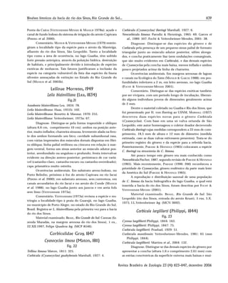 1139Bivalves límnicos da bacia do rio dos Sinos, Rio Grande do Sul...
Revista Brasileira de Zoologia 23 (4): 1123–1147, dezembro 2006
Ponta da Cuíca (VEITENHEIMER-MENDES & MANSUR 1978a); açude e
canal de fundo lodoso do sistema de irrigação do arroio Capivara
(PEREIRA et al. 2000).
Comentário. MANSUR & VEITENHEIMER-MENDES (1979) restrin-
giram a localidade tipo da espécie para o arroio da Manteiga,
afluente do rio dos Sinos, São Leopoldo. Tanto a localidade
tipo como a área de ocorrência, no lago Guaíba, têm sofrido
forte pressão antrópica, através da poluição hídrica, destruição
de habitats, e principalmente devido à introdução de espécies
exóticas de moluscos. Tais fatores justificaram a inclusão da
espécie na categoria vulnerável da lista das espécies da fauna
silvestre ameaçadas de extinção no Estado do Rio Grande do
Sul (MANSUR et al. 2003b).
Leilinae Morretes, 1949
Leila blainvilliana (Lea, 1834)
Fig.21
Anodonta blainvilliana Lea, 1834: 78.
Leila blainvilleana: Haas, 1931b: 102.
Leila blainvilleana: Bonetto & Mansur, 1970: 255.
Leila blainvilliana: Veitenheimer, 1973a: 67.
Diagnose. Distingue-se pela forma trapezóide e oblíquo
(altura 6,6 cm, comprimento 10 cm); umbos na posição ante-
rior, muito inflados; charneira sinuosa, levemente alada na fren-
te dos umbos formando um bico; cavidade subumbonal rasa,
com várias impressões dos músculos dorsais dispostas em filei-
ra oblíqua; linha palial retilínea ou côncava em relação à mar-
gem ventral, forma um sinus anterior ao músculo adutor pos-
terior, arredondado ou anguloso e profundo; fresta intervalvar
evidente na direção antero-posterior; perióstraco de cor variá-
vel (castanho-claro, castanho-escuro ou castanho-esverdeado);
capa prismática muito estreita.
Ocorrências ambientais. Em substrato areno-lodoso, no
Porto Belinho, próximo à foz do arroio Capivara no rio Jacuí
(PEREIRA et al. 2000); em substrato arenoso, sem correnteza, em
canais secundários do rio Jacuí e no arroio do Conde (MANSUR
et al. 1988); no lago Guaíba junto aos juncos e em areia fofa
sem limo (VEITENHEIMER 1973a).
Comentário. VEITENHEIMER (1973a) revisou a espécie e res-
tringiu a localidade-tipo à praia do Guarujá, no lago Guaíba,
no município de Porto Alegre, no estado do Rio Grande do Sul,
Brasil. Registra-se L. blainvilliana pela primeira vez para a bacia
do rio dos Sinos.
Material examinado. BRASIL, Rio Grande do Sul: Canoas (fa-
zenda Muradás, na margem arenosa do rio dos Sinos), 1 ex.,
22.XII.1997, Felipe Quadros leg. (MCP 8546).
Corbiculidae Gray, 1847
Cyanocyclas limosa (Maton, 1811)
Fig. 22
Tellina limosa Maton, 1811: 325.
Corbicula (Cyanocyclas) guahybensis Marshall, 1927: 4.
Corbicula (Cyanocyclas) iheringi Marshall, 1927: 6.
Neocorbicula limosa: Parodiz & Hennings, 1965: 69; Garces et
al., 1989: 507; Focht & Veitenheimer-Mendes, 2001: 38.
Diagnose. Distingue-se das espécies do gênero e de
Corbicula pela presença de um pequeno sinus palial de formato
triangular junto ao músculo adutor posterior, sifões alonga-
dos, e concha praticamente lisa (sem ondulações comarginais,
que são muito evidentes em Corbicula), e das demais espécies
de Cyanocyclas pela concha mais baixa, menos inflada e umbos
pouco projetados acima da linha da charneira.
Ocorrências ambientais. Em margens arenosas de lagoas
e canais na Ecológica do Taím (MANSUR & GARCES 1988); em pro-
fundidades inferiores a 2 m, em leito arenoso, no lago Guaíba
(FOCHT & VEITENHEIMER-MENDES 2001).
Comentário. Distingue-se das espécies exóticas também
por ser vivípara, com um período longo de incubação, liberan-
do alguns indivíduos jovens de dimensões geralmente acima
de 2 mm.
Dentre o material coletado no Guaíba e Rio dos Sinos, que
foi presenteado por H. von Ihering ao USNM, MARSHALL (1927)
descreveu duas espécies novas para o gênero Corbicula
(Cyanocyclas). Com base em uma só valva oriunda de São
Leopoldo, este autor homenageou o coletor doador decrevendo
Corbicula iheringi cujas medidas correspondem a 22 mm de com-
primento, 18,5 mm de altura e 12 mm de diâmetro (medida
estimada, caso as duas valvas estivessem presentes). Trata-se do
primeiro registro do gênero e da espécie para a referida bacia.
Posteriormente, PARODIZ & HENNINGS (1965) colocaram a espécie
C. iheringi na sinonímia de C. limosa.
Até pouco tempo este gênero era mais conhecido como
Neocorbicula Fischer, 1887, segundo revisão de PARODIZ & HENNINGS
(1965). Mais recentemente, PARODIZ (1996: 266) reconheceu a
prioridade de Cyanocyclas, gênero endêmico da parte mais leste
da América do Sul (PARODIZ & HENNINGS 1965).
A reprodução e distribuição sazonal de uma população
de C. limosa da bacia hidrográfica do lago Guaíba, a qual está
inserida a bacia do rio dos Sinos, foram descritas por FOCHT &
VEITENHEIMER-MENDES (2001).
Material examinado. BRASIL, Rio Grande do Sul: São
Leopoldo (rio dos Sinos, entrada do arroio Kruze), 5 exs, 5.X.
1973, I.L.Veitenheimer leg. (MCN 3692).
Corbicula largillierti (Philippi, 1844)
Fig. 23
Cyrena largillierti Philippi, 1844: 163.
Cyrena largillierti: Philippi, 1847: 75.
Corbicula largillierti: Prashad, 1929: 51.
Corbicula manilensis: Veitenheimer-Mendes, 1981: 65 (non
Philippi, 1844).
Corbicula largillierti: Martins et al., 2004: 132.
Diagnose. Distingue-se das demais espécies do gênero por
apresentar a concha (altura 1,6 e comprimento 2,61 mm) com
as estrias concêntricas da superfície externa mais baixas e mui-
 