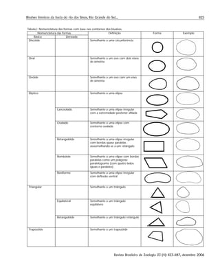 1125Bivalves límnicos da bacia do rio dos Sinos, Rio Grande do Sul...
Revista Brasileira de Zoologia 23 (4): 1123–1147, dezembro 2006
Tabela I. Nomenclatura das formas com base nos contornos dos bivalves.
Nomenclatura das formas
Básica Derivada
Definição Forma Exemplo
Discóide Semelhante a uma circunferência
Oval Semelhante a um ovo com dois eixos
de simetria
Ovóide Semelhante a um ovo com um eixo
de simetria
Elíptico Semelhante a uma elipse
Lanceolado Semelhante a uma elipse irregular
com a extremidade posterior afilada
Ovalado Semelhante a uma elipse com
contorno ovalado
Retangulóide Semelhante a uma elipse irregular
com bordas quase paralelas
asssemelhando-se a um retângulo
Rombóide Semelhante a uma elipse com bordas
paralelas como um polígono
paralelogramo (com quatro lados
iguais e paralelos)
Reniforme Semelhante a uma elipse irregular
com deflexão ventral
Triangular Semelhante a um triângulo
Equilateral Semelhante a um triângulo
eqüilátero
Retangulóide Semelhante a um triângulo retângulo
Trapézóide Semelhante a um trapezóide
 
