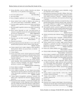 1127Bivalves límnicos da bacia do rio dos Sinos, Rio Grande do Sul...
Revista Brasileira de Zoologia 23 (4): 1123–1147, dezembro 2006
4’. Formas discóides, ovais ou ovóides, charneira com dentes
laterais lisos ou com grânulos microscópicos ....................
............................................................. Sphaeriidae ........... 8
5. Com sínus palial presente ........................ Leila blainvilliana
5’. Sem sínus palial ................................................................... 9
6. Forma triangular eqüilateral, com carena saliente ..............
................................................................... Castalia martensi
6’. Forma variável (oval, ovóide ou elíptico), sem carena ou
com carena muito baixa e arredondada...Diplodon ....... 10
7. Com sínus palial, superfície externa sem estrias concêntricas
salientes ................................................. Cyanocyclas limosa
7’. Sem sínus palial, superfície externa com estrias concêntricas
salientes .................................................. Corbicula ......... 19
8. Forma variável (discóide ou oval), com pintas pretas ou
marrom na superfície interna da concha (geralmente vistas
por fora por transparência) ................. Eupera klappenbachi
8’. Forma variável (discóide, ovóide ou oval), sem pintas pretas
ou marrom ............................................... Pisidium ......... 20
9. Charneira com um dente nacarado em forma de calo, em
cada valva ...................................... Monocondylaea ......... 21
9’. Charneira sem dentes ....................................................... 22
10. Forma predominantemente discóide, às vezes ovóide, dente
pseudocardinal posterior direito robusto muito lascado ..
................................................................... Diplodon deceptus
10’. Forma variável (oval, ovóide a elíptica), dente pseudocar-
dinal posterior direito com poucas lascas, ou lamelar .. 11
11. Forma oval ou ovóide ...................................................... 12
11’. Forma elíptica .................................................................. 14
12. Forma oval, borda ventral e dorsal regularmente abaulada,
extremidades anterior e posterior na metade da altura, dente
pseudocardinal posterior direito lamelar, perióstraco
castanho brilhante ...................................... Diplodon hildae
12’. Forma ovóide, borda ventral quase reta, borda posterior
muito abaulada, dente pseudocardinal posterior direito
curto de contorno triangular com aspecto desgastado,
perióstraco castanho amarelado sem brilho ......................
............................................. Diplodon granosus multistriatus
14. Forma elíptica-rombóide ou retangulóide ..................... 15
14’. Forma elíptica-ovalada ................................................... 16
15. Forna elíptica-rombóide, às vezes elíptica-lanceolada,
impressão dos músculos adutores anteriores muito grandes
e bem demarcadas, perióstraco negro brilhante às vezes
esverdeado ................................................ Diplodon aethiops
15’. Forma elíptica-retangulóide, perióstraco castanho com
brilho seroso, impressão dos músculos adutores anteriores
pequenas .................................................. Diplodon martensi
16. Borda dorsal muito abaulada, a ventral mais abaulada após
a metade posterior concha, depressão interna oblíqua que
parte da cavidade sub-umbonal em direção a região póstero-
ventral da concha como se cada valva fosse internamente
pressionado pelo dedo polegar ................ Diplodon berthae
16’. Bordas dorsal e ventral retas ou pouco abauladas, concha
sem depressão interna oblíqua ........................................ 17
17. Borda posterior fortemente truncada e oblíqua, dente pseu-
docardinal posterior retangular e espesso com poucos dentí-
culos radiais, perióstraco castanho .... Diplodon charruanus
17’. Borda posterior arredondada, dentes pseudocardinais baixos
e lamelares ........................................................................ 18
18. Extremidades anterior e posterior na metade da altura, dente
pseudocardinal direito posterior lamelar longo, perióstraco
de cor negra brilhante, na região posterior mais lamelar e
sem brilho, concha pouco inflada ........... Diplodon pilsbryi
18’. Extremidade anterior e posterior regularmente arredonda-
das, borda ventral reta, dente pseudocardinal direito poste-
rior lamelar curto, perióstraco castanho-escuro, sem brilho,
concha relativamente pequena e muito inflada ................
................................................................... Diplodon koseritzi
19”. Estrias concêntricas não evidentes, baixas e muito próximas
entre si ................................................... Corbicula largillierti
19’. Estrias concêntricas altas e espaçadas...Corbicula fluminea
20. Forma variável (discóide ou oval), região anterior pouco
projetada e a posterior arredondada ....... Pisidium globulus
20’. Forma variável (oval ou ovóide), região anterior bastante
projetada e a posterior truncada e relativamente curta,
geralmente formando um ângulo no encontro da margem
dorsal com a posterior ......................... Pisidium sterkianum
21. Forma oval, umbos inflados com sulco mediano ..............
........................................................Monocondylaea minuana
21’. Forma ovóide ou discóide, umbos baixos sem sulco mediano
............................................... Monocondylaea corrientesensis
22. Forma elíptica-rombóide muito alongada, região posterior
projetada e afilada, extremidade distal na metade da altura,
pé cilíndrico muito alongado, com extremidade intumescida
............................................................... Mycetopoda legumen
22’. Forma variável (oval, ovóide, trapezóide, elíptica-ovalado
ou elíptica-reniforme), região posterior pouco projetada,
com extremidade distal descendente, não afilada, pé de
forma não cilíndrica em linguiforme...Anodontites ....... 23
23. Forma trapezóide, grande e inflada, capa prismática reduzida
........................................................................... A. trapesialis
23’. Forma variável não trapezóide, capa prismática geralmente
larga ................................................................................... 24
24. Forma ovóide ou quase discóide, concha alta e inflada,
cavidade umbonal profunda ............................ A. trapezeus
24’. Forma oval ou elíptica, concha baixa e pouco inflada,
cavidade umbonal rasa .................................................... 25
25. Forma oval ........................................................................ 26
25’. Forma elíptica .................................................................. 27
26. Charneira curva e espessa, umbos largos e não proeminentes,
impressão do músculo adutor anterior bastante aprofundada
e demarcada por várias linhas concêntricas e bem escuras
............................................................................... A. iheringi
 