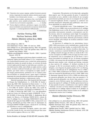 1128 M. C. D. Mansur & D. Pereira
Revista Brasileira de Zoologia 23 (4): 1123–1147, dezembro 2006
26’. Charneira reta e pouco espessa, umbos levemente proemi-
nentes, impressão do músculo adutor anterior pouco apro-
fundada e sem demarcações escuras ............ A. patagonicus
27. Forma elíptica-ovalado, perióstraco liso, com brilho na re-
gião anterior, nácar azulado-acinzentado, bordas dorsal e
ventral reta ou levemente arqueadas ................... A. lucidus
27’. Forma elíptica-reniforme, perióstraco rugoso, sem brilho,
nácar esverdeado com manchas de cor marrom, borda dorsal
arqueada e a ventral geralmente deflexionada ..................
........................................................................ A. tenebricosus
Hyriidae Fleming, 1828
Hyriinae Swainson, 1840
Diplodon (Diplodon) aethiops (Lea, 1860)
Fig. 2
Unio aethiops Lea, 1860: 91.
Unio dunkerianus: Clessin, 1888: 172 (non Lea, 1856).
Unio aethiops Lea var. piracicabana Ihering, 1893: 102 (partim).
Diplodon charruanus: Haas, 1930: 182 (partim); Haas, 1969; 515
(partim) (non Orbigny, 1835).
Diplodon parallelipipedon aethiops: Parodiz, 1968: 3 (partim);
Mansur, 1970: 85.
Diagnose. Distingue-se pela forma elíptica-rombóide, even-
tualmente elíptica-lanceolada (altura 2,3 cm, comprimento 5,5
cm), borda dorsal levemente curva, ventral reta, ponta posterior
situada bem abaixo da metade da altura, no encontro da borda
ventral; região posterior igual ou mais baixa que a anterior; con-
cha relativamente sólida, mais inflada na região anterior, umbos
baixos; escultura umbonal formada por raios curtos na região
anterior, por muito curtos e convergentes na região central, e
por longos posteriormente; perióstraco de cor variável (casta-
nho-esverdeado ou castanho-escuro, quase negro) e brilhante;
impressão dos músculos adutores anteriores muito grandes; den-
tes pseudocardinais lamelares e relativamente curtos.
Material examinado. BRASIL, Rio Grande do Sul: São Leopol-
do (Parque dos Trabalhadores), 1v., 31.III.1984, M. Sander e
alunos leg. (MZU 593); (banhado da Olaria Linck), 1 v., 31.III.
1984, M.E. de Paula Luchese leg. (MZU 749); (rio dos Sinos), 2
v., 25.V.1984, M. Sander e alunos leg. (MZU 712); açude do
Centro de Ciências Exatas e Tecnológicas (UNISINOS), 8 ex.+ 9
v., X.1999, D. Pereira leg. (MCP 7642, 1 ex. com gloquídios);
açude do Centro de Ciências da Saúde (UNISINOS), 14 ex. +
28, VII.2000, D. Pereira leg. (MCP 8290). U. dunkerianus: Rio de
Janeiro: rio Macacu, s/d (holótipo NMNH 84155, coleção de
Lea); D. aethiops: URUGUAI: (holótipo NMNH 85617); BRASIL: Rio
Grande do Sul: Lagoa da Volta (SBMF 11185a, coleção de H. von
Ihering, identificado por Haas 1930 como D. charruanus); rio
Camaquã (NMNH 162388 em parte, coleção de H. von Ihering,
que identificou como D. aethiopiformis).
Ocorrências ambientais. Em lagoas, canais e rios costei-
ros do Rio Grande do Sul, com areia escurecida por fina cama-
da de matéria orgânica (MANSUR et al. 1991).
Comentário. Pela primeira vez foi observado o gloquídio
desta espécie, que é do tipo parasito de peixe. O material foi
encontrado em seco, aderido à valva direita de um exemplar
possivelmente predado por uma ave na margem de um açude.
O material fragilizado devido à exposição ao ambiente não
permitiu preparações adequadas para publicação, mas encon-
tra-se depositado na coleção do MCP.
O material identificado como “?Unio dunkerianus” Lea,
1856, por CLESSIN (1888), trata-se provavelmente de D. aethiops.
Unio dunkerianus ocorre no Rio de Janeiro e apresenta concha
lanceolada, internamente nacarada e externamente com bri-
lho intenso, além de constituição muito frágil. Os exemplares
de D. aethiops da bacia do rio dos Sinos apresentam o mesmo
contorno elíptico-lanceolado, diferindo pela dentição cardinal
menos alongada, pela redução da escultura umbonal e maior
espessura das valvas.
Ao descrever D. aethiops Lea var. piracicabana, IHERING
(1893: 1020) mencionou a nova variedade para o estado de São
Paulo e para bacia do lago Guaíba, no estado do RS. Este mate-
rial não foi localizado nas coleções científicas observadas. No
entanto, examinou-se material identificado por Ihering como
D. aethiops oriundo da Lagoa da Volta no estado do RS. A for-
ma dos exemplares do SBMF 11185a da Lagoa da Volta coinci-
de exatamente com os exemplares do rio dos Sinos e com a
forma lanceolada do holótipo de Lea. Os demais exemplares
(11185b, c) do mesmo lote são semelhantes à espécie D. berthae.
Material muito similar a este, coletado por Ihering, contendo
as duas espécies (D. aethiops e D. berthae) oriundas do rio
Camaquã, no RS, foi encontrado também no Museu de Wa-
shington, com etiquetas do próprio punho de H. von Ihering,
contendo a identificação de D. aethiopiformis. PARODIZ (1968) e
HAAS (1930, 1969) consideraram este último um nomen nudum.
Todo este material foi identificado por HAAS (1930, 1969) como
D. charruanus. Segundo MANSUR & SILVA (1999) esta última espé-
cie apresenta gloquídio sem dentes (tipo não parasito) e D.
berthae apresenta gloquídio com dentes (tipo parasito), o que
comprova serem distintas apesar das semelhanças externas.
Apesar das espécies D. aethiops e D. berthae apresentarem larvas
do tipo parasito de peixe, consideramos como espécies válidas
e distintas com base na forma (elíptica-rombóide ou elíptica-
lanceolada em D. aethiops; elíptica-ovalada em D. berthae), na
impressão do músculo adutor anterior (maior em D. aethiops) e
na depressão interior (em D. berthae).
Diplodon (Diplodon) berthae Ortmann, 1921
Fig. 3
Unio aethiops Lea var. piracicabana Ihering, 1893: 102 (partim).
Diplodon berthae Ortmann, 1921: 528, est. 38, fig.1-4.
Diplodon charruanus: Haas, 1930: 182 (partim); Haas, 1969: 515;
(partim) (non Orbigny, 1835).
Diplodon piceus: Parodiz, 1968: 9 (partim) (non Lea, 1860).
Diplodon rhombeus fontaineanus: Bonetto & Mansur, 1970: 248
(partim) (non Wagner).
 