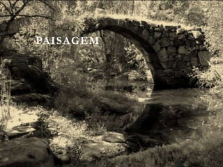 PAISAGEM
 