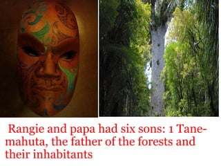   Rangie and papa had six sons: 1 Tane-mahuta, the father of the forests and their inhabitants Click to add title 
