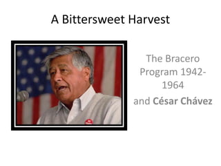 A Bittersweet Harvest
The Bracero
Program 1942-
1964
and César Chávez
 