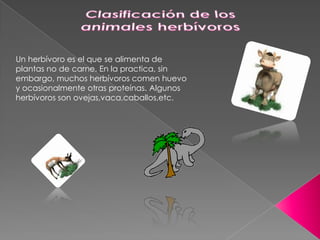 Un herbívoro es el que se alimenta de
plantas no de carne. En la practica, sin
embargo, muchos herbívoros comen huevo
y ocasionalmente otras proteínas. Algunos
herbívoros son ovejas,vaca,caballos,etc.