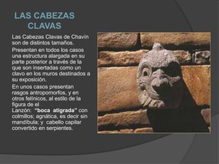 LAS CABEZAS CLAVASLas Cabezas Clavas de Chavín son de distintos tamaños. Presentan en todos los casos una estructura alargada en su parte posterior a través de la que son insertadas como un clavo en los muros destinados a su exposición.En unos casos presentan rasgos antropomorfos, y en otros felínicos, al estilo de la figura de el Lanzón:  “boca  atigrada” con colmillos; agnática, es decir sin mandíbula; y  cabello capilar convertido en serpientes. 