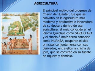 AGRICULTURA El principal motivo del progreso de Chavín de Huántar, fue que se convirtió en la agricultura más moderna y productiva e innovadora de su época y dentro de esa agricultura, el maíz conocido en el idioma Quechua como SARA O ARA y el choclo ó maíz tierno conocido como HUANSA, ocuparon el sitio principal conjuntamente con sus derivados, entre ellos la chicha de jora, que se convirtió en su fuente de riqueza y dominio.  