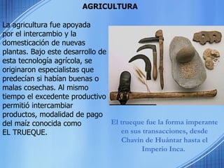 AGRICULTURA El trueque fue la forma imperante en sus transacciones, desde Chavín de Huántar hasta el Imperio Inca.  La agricultura fue apoyada  por el intercambio y la  domesticación de nuevas plantas. Bajo este desarrollo de esta tecnología agrícola, se originaron especialistas que predecían si habían buenas o malas cosechas. Al mismo tiempo el excedente productivo permitió intercambiar productos, modalidad de pago del maíz conocida como  EL TRUEQUE.  