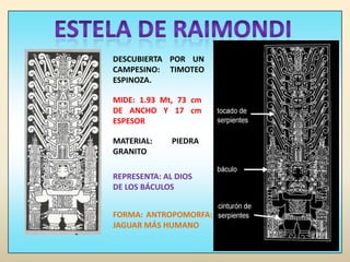 ESTELA DE RAIMONDIDESCUBIERTA POR UN CAMPESINO: TIMOTEO ESPINOZA.MIDE: 1.93 Mt, 73 cm DE ANCHO Y 17 cm ESPESORMATERIAL: PIEDRA GRANITOREPRESENTA: AL DIOS DE LOS BÁCULOSFORMA: ANTROPOMORFA: JAGUAR MÁS HUMANO