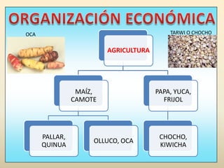 ORGANIZACIÓN ECONÓMICATARWI O CHOCHOOCA