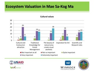 Ecosystem Valuation in Mae Sa-Kog Ma
1 1
3 3
1
7
5
20
14
11
16
12
6
13
18
6
13
0
5
10
15
20
25
30
Cultural and
Ecotourism
attraction
Traditional
Knowledge for
Forest
Management
The beauty of
natural area
create visual
aesthetic
Inspiration for Art Scientific and
Research sites
Cultural values
Not important at all Not so important Quite important
Very important Extremely important
 