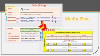 Media Plan
23
 