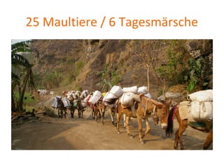 25 Maultiere / 6 Tagesmärsche
 