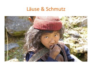 Läuse & Schmutz
 