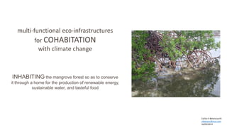 multi-functional eco-infrastructures
for COHABITATION
with climate change
INHABITING the mangrove forest so as to conserve
it through a home for the production of renewable energy,
sustainable water, and tasteful food
Carlos h Betancourth
chbetanc@msn.com
16/05/2015
 