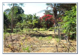 CHÁCARA A VENDA EM FRANCA-SP