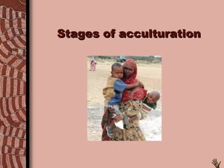 Stages of acculturation 
