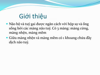 Giới thiệu
 Não bộ và tuỷ gai được ngăn cách với hộp sọ và ống
sống bởi các màng não tuỷ. Có 3 màng: màng cứng,
màng nhện, màng mềm
 Giữa màng nhện và màng mềm có 1 khoang chứa đầy
dịch não tuỷ.
 
