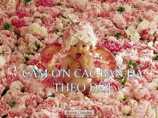 CHỌC DÒ DỊCH NÃO TỦY