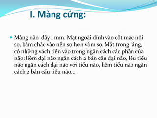 I. Màng cứng:
 Màng não dầy 1 mm. Mặt ngoài dính vào cốt mạc nội
sọ, bám chắc vào nền sọ hơn vòm sọ. Mặt trong láng,
có những vách tiến vào trong ngăn cách các phần của
não: liềm đại não ngăn cách 2 bán cầu đại não, lều tiểu
não ngăn cách đại não với tiểu não, liềm tiểu não ngăn
cách 2 bán cấu tiểu não...
 