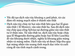  Tốc độ tạo dịch não tủy khoảng 0,3ml/phút, từ các
đám rối màng mạch nằm ở thành não thất
 Dịch não tủy chảy từ hai não thất bên qua hai lỗ gian
não thất ( lỗ Monro), vão não thất ba. Sau đó dịch não
tủy chảy qua cống Sylvius tại đường giữa vào não thất
tư ở thân não. Từ não thất tư, dịch não tủy hoặc chảy
qua lỗ Magendie đường giữa hoặc hai lỗ bên Luschka
đi vào khoang dưới nhện, nghĩa là khoang giữa màng
nhện và màng mềm. Dịch não tủy sẽ được hấp thu qua
hạt màng nhện vào xoang tĩnh mạch dọc trên và cuối
cùng đi vào tĩnh mạch cảnh trong.
 