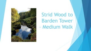 Strid Wood to
Barden Tower
– Medium Walk
 