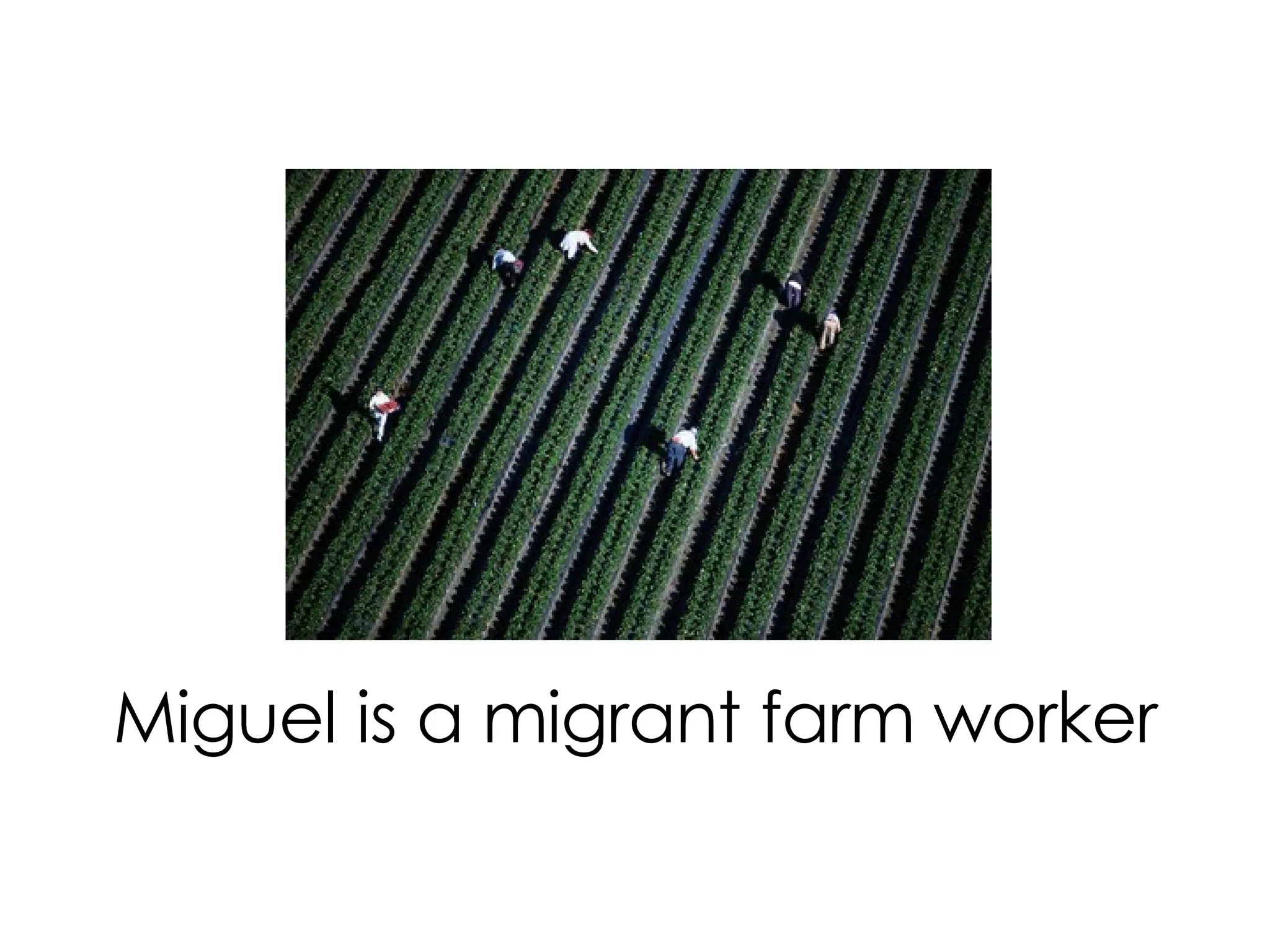 Miguel is a migrant farm worker
