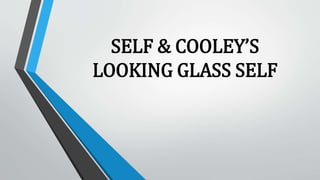 SELF & COOLEY’S
LOOKING GLASS SELF
 