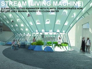 STREAM (LIVING MACHINE)
CLEANS COLLECTED RAINWATER WITH PLANTS; DEMONSTRATES HOW
NATURE USES MINIMAL ENERGY TO CLEAN WATER
 