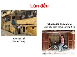 Cơ học đất