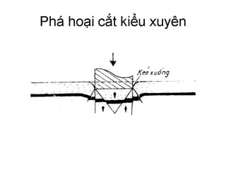 Cơ học đất
