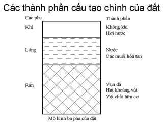 Cơ học đất