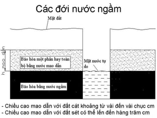 Cơ học đất