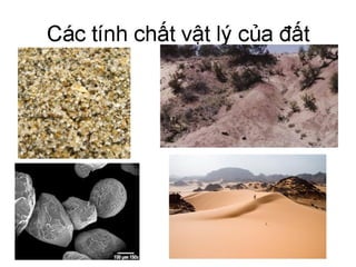 Cơ học đất