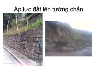 Cơ học đất
