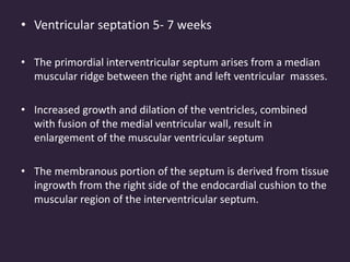 • Ventricular septation 5- 7 weeks
• The primordial interventricular septum arises from a median
muscular ridge between the right and left ventricular masses.
• Increased growth and dilation of the ventricles, combined
with fusion of the medial ventricular wall, result in
enlargement of the muscular ventricular septum
• The membranous portion of the septum is derived from tissue
ingrowth from the right side of the endocardial cushion to the
muscular region of the interventricular septum.
 
